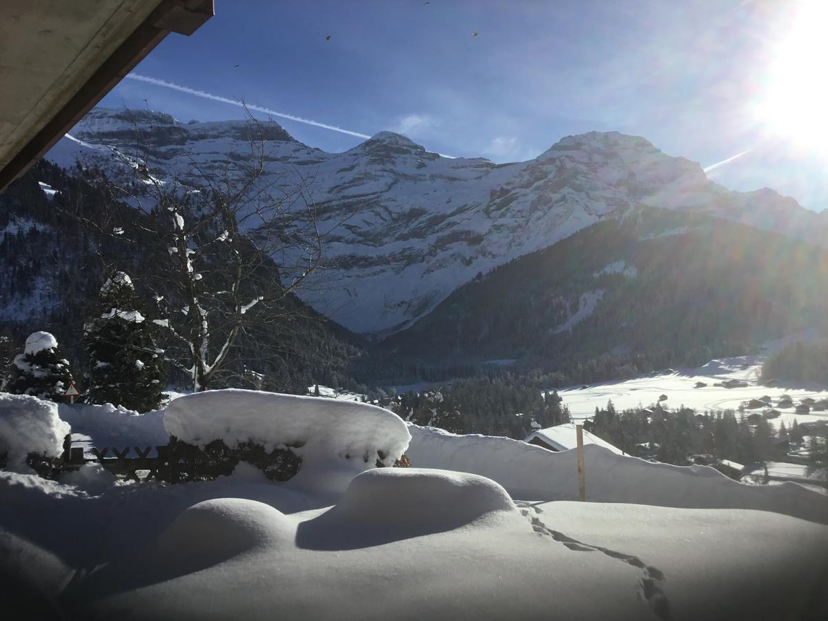 Le Sapin Daire Les Diablerets Dış mekan fotoğraf