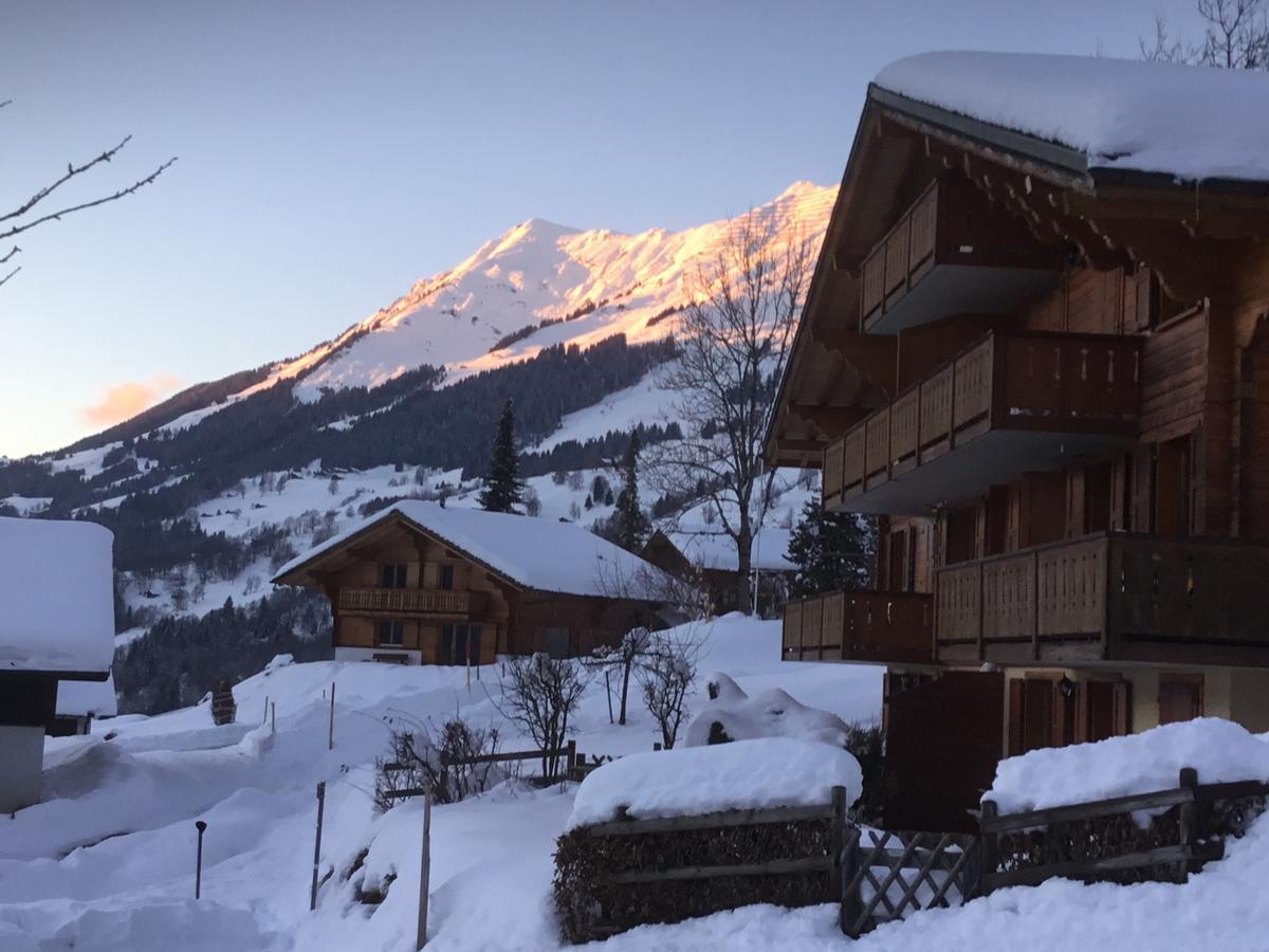 Le Sapin Daire Les Diablerets Dış mekan fotoğraf